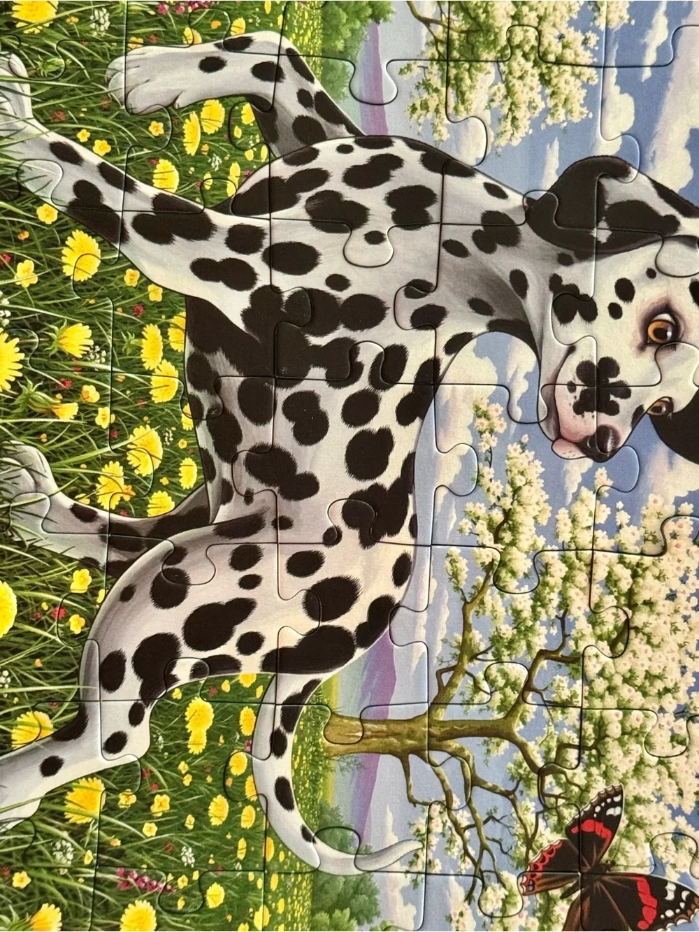 EUC Ravensburger Dalmatian and Butterflies in Spring Meadow 35-piece Puzzle